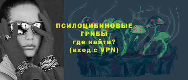индика Армянск