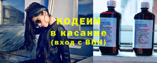 индика Армянск