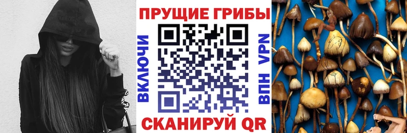 Псилоцибиновые грибы Cubensis  Углич 